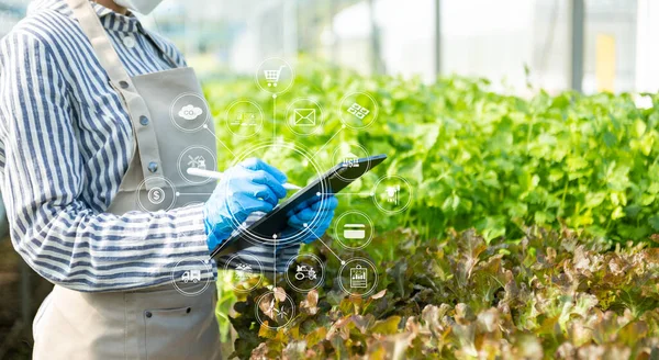 Frau Garten Salat Bauernhof Mit Wachstumsprozess Und Chemische Formel Auf — Stockfoto