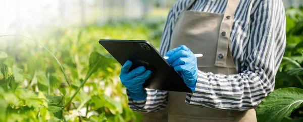 Bäuerin Mit Digitalem Tablet Computer Feld Technologieanwendung Der Landwirtschaft Treibhauskonzept — Stockfoto