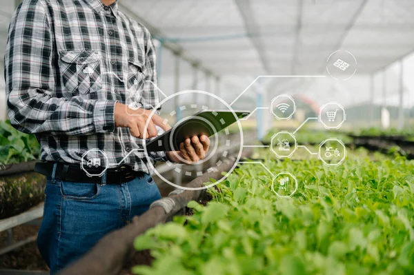 Inteligentní Farmář Využívající Tabletu Koncepci Moderní Zemědělské Technologie Vizuální Ikonu — Stock fotografie