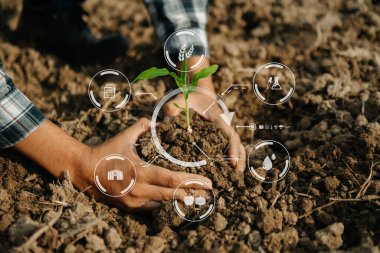 Adam çiftlikte marul yetiştirirken büyüme süreci ve yeşil arka planda kimyasal formül kullanıyormuş..
