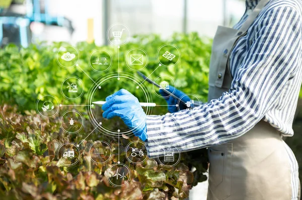 Žena Zahradní Salát Farmě Růstovým Procesem Chemický Vzorec Zeleném Pozadí — Stock fotografie