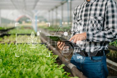 Tablet uygulaması kullanan akıllı çiftçi modern tarım teknolojisi ve görsel ikonu kullanıyor. Serada çiftçilik