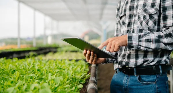 Rolnik Korzystający Komputera Cyfrowego Terenie Zastosowanie Technologii Działalności Rolniczej Świetle — Zdjęcie stockowe