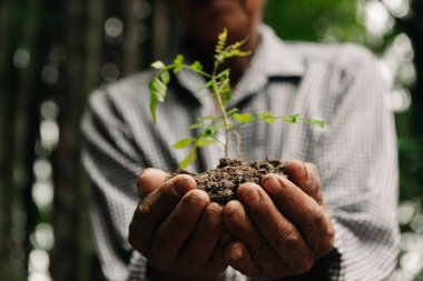 Erkek elleri toprağı bir bitkiyle tutuyor. Çiftçilik ve iş büyümesi kavramı  