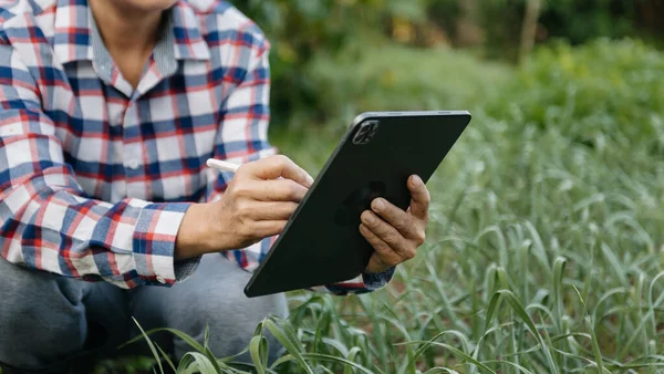 Bäuerin Mit Digitalem Tablet Computer Feld Technische Anwendung Der Landwirtschaft — Stockfoto