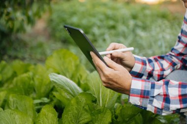 Tarlada dijital tablet kullanan çiftçi kadın, tarım endüstrisinde teknoloji uygulaması