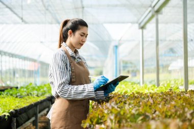 Eldivenli Asyalı genç kadın çiftçi bitkileri teftiş ediyor ve serada dijital tablet kullanıyor. Tarımsal büyüme faaliyetlerinde akıllı tarım teknolojisi. 