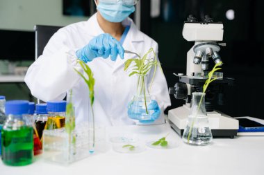 Biyologlar biyokimya laboratuvarında çalışan bitkilerle deney yapıyorlar.
