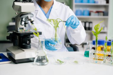 Biyologlar biyokimya laboratuvarında çalışan bitkilerle deney yapıyorlar.