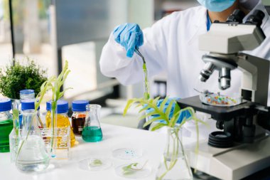 Biyologlar biyokimya laboratuvarında çalışan bitkilerle deney yapıyorlar.