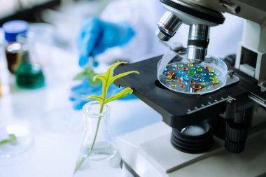 Biyologlar biyokimya laboratuvarında çalışan bitkilerle deney yapıyorlar.