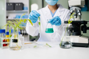 Biyologlar biyokimya laboratuvarında çalışan bitkilerle deney yapıyorlar.