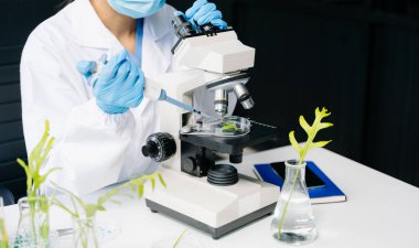 Biyologlar biyokimya laboratuvarında çalışan bitkilerle deney yapıyorlar.