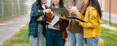 Üniversite öğrencileri sabahları kampüs parkında bilgisayar başında çalışıyorlar. 