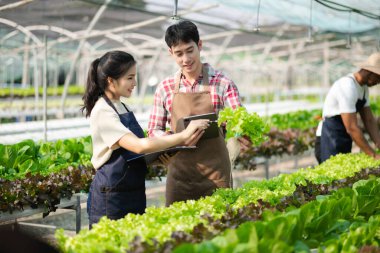 Asian couple of farmers inspects plants with a digital tablet In a greenhouse plantation. Smart farming
