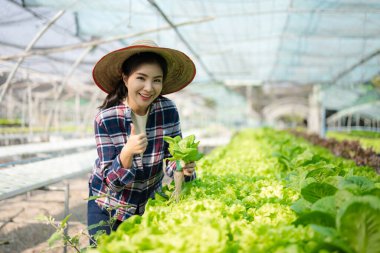  Asyalı kadın çiftçi başparmakları havada organik sebzelerle ilgileniyor. Genç girişimciler tarımla ilgileniyor. Çiftlikte tarım kariyeri kurmak