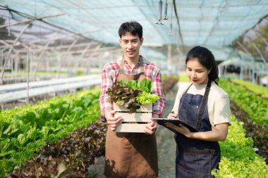 Asian couple of farmers inspects plants with a digital tablet In a greenhouse plantation. Smart farming