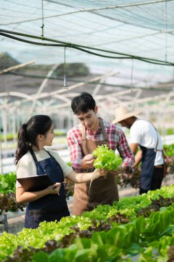 Asian couple of farmers inspects plants with a digital tablet In a greenhouse plantation. Smart farming