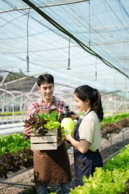 Asyalı çiftçiler bir seradaki bitkileri inceliyor. Akıllı çiftçilik