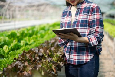  Asyalı kadın çiftçi, tarımla ilgilenen genç girişimciler ve tabletli organik sebzelerle ilgileniyor. Çiftlikte tarım kariyeri kurmak