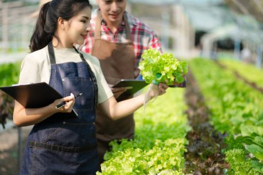 Asian couple of farmers inspects plants with a digital tablet In a greenhouse plantation. Smart farming