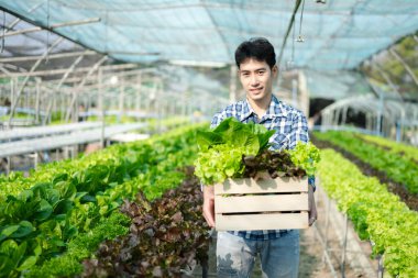 Çiftlikte organik sebze arayan Asyalı çiftçi.. 