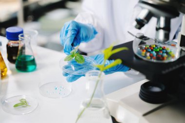 Biyologlar biyokimya laboratuvarında çalışan bitkilerle deney yapıyorlar.