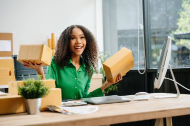 Küçük işletme girişimcisi ya da KOBİ 'li serbest çalışan iş kadını ev ofisinde bilgisayar, e-ticaret konsepti üzerinde çalışıyor