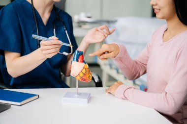 Kalp anatomik modellerinde tıbbi uzmanlık ve hasta bakımı. Sağlık konseptlerini anatomi, rehberlik ve profesyonel istişare üzerine odaklanarak görselleştirin.