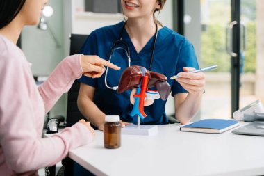 Karaciğer anatomik modellerinde tıbbi uzmanlık ve hasta bakımı. Sağlık konseptlerini anatomi, rehberlik ve profesyonel istişare üzerine odaklanarak görselleştirin.