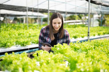 Kadın çiftçi organik sebze arıyor ve kaliteli çiftliği kontrol etmek için tablet tutuyor.