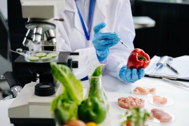 Laboratuvarda ileri teknoloji ve hassas ekipman kullanılarak güvenlik ve kalite için biber testi ve analizi yapan kadın laboratuvar bilim adamı.