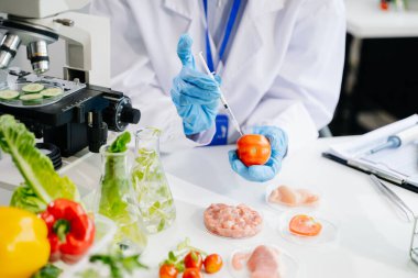 Domatesin güvenlik ve kalitesini laboratuarda ileri teknoloji ve hassas ekipman kullanarak test eden ve analiz eden kadın bir laboratuvar uzmanı.