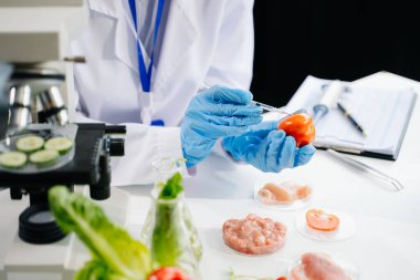 Domatesin güvenlik ve kalitesini laboratuarda ileri teknoloji ve hassas ekipman kullanarak test eden ve analiz eden kadın bir laboratuvar uzmanı.