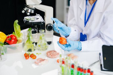 Domatesin güvenlik ve kalitesini laboratuarda ileri teknoloji ve hassas ekipman kullanarak test eden ve analiz eden kadın bir laboratuvar uzmanı.