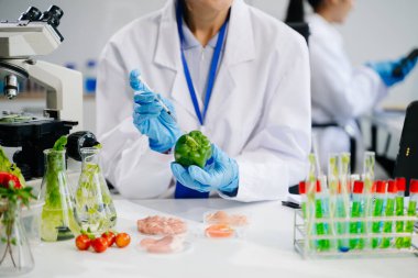 Laboratuvarda ileri teknoloji ve hassas ekipmanlar kullanarak sebzeleri güvenlik ve kalite için test edip analiz eden kadın laboratuvar bilim adamları.