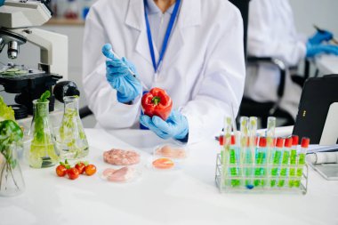 Laboratuvarda ileri teknoloji ve hassas ekipman kullanılarak güvenlik ve kalite için biber testi ve analizi yapan kadın laboratuvar bilim adamı.