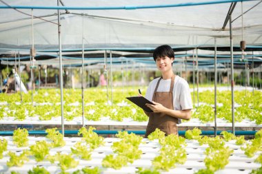  Asyalı çiftçi elinde panoyla bir seradaki bitkileri inceliyor.