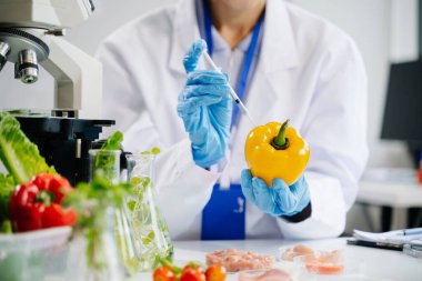 Laboratuvarda ileri teknoloji ve hassas ekipman kullanılarak güvenlik ve kalite için biber testi ve analizi yapan kadın laboratuvar bilim adamı.