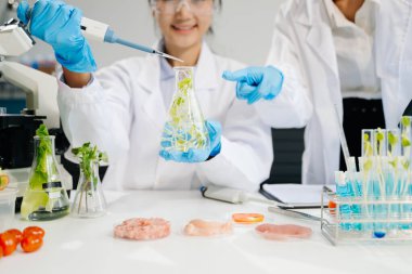 Laboratuvar önlüklü gülümseyen iki kadın gıda bilimcisi, modern bir laboratuvar ortamında yiyecek güvenliğini ve kalitesini test ediyorlar.