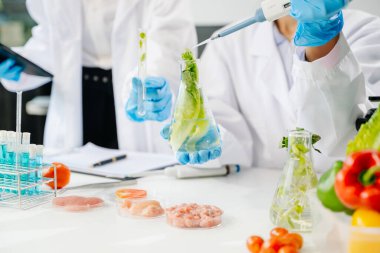 Laboratuvar önlüklü iki kadın gıda bilimcisinin orta kesiminde örnekler test ediliyor ve modern bir laboratuvar ortamında gıda güvenliği ve kalitesini analiz ediliyor.