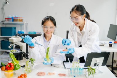 Laboratuvar önlüklü gülümseyen iki kadın gıda bilimcisi, modern bir laboratuvar ortamında yiyecek güvenliğini ve kalitesini test ediyorlar.