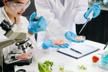 Laboratuvar önlüklü iki kadın gıda bilimcisi, örnek alıyor ve modern bir laboratuvar ortamında gıda güvenliğini ve kalitesini analiz ediyorlar.