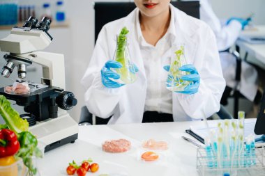 Laboratuvar önlüklü kadın gıda bilimcisi, numuneleri test ediyor ve modern bir laboratuvar ortamında gıda güvenliği ve kalitesini analiz ediyor.