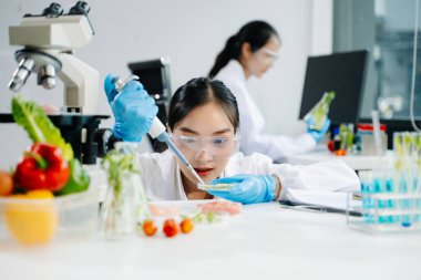 Laboratuvar önlüklü iki kadın gıda bilimcisi, örnek alıyor ve modern bir laboratuvar ortamında gıda güvenliğini ve kalitesini analiz ediyorlar.