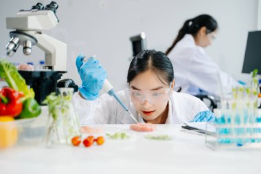 Laboratuvar önlüklü iki kadın gıda bilimcisi, örnek alıyor ve modern bir laboratuvar ortamında gıda güvenliğini ve kalitesini analiz ediyorlar.