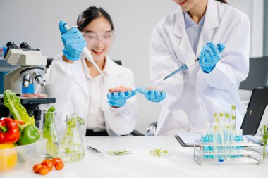 Laboratuvar önlüklü gülümseyen iki kadın gıda bilimcisi, modern bir laboratuvar ortamında yiyecek güvenliğini ve kalitesini test ediyorlar.