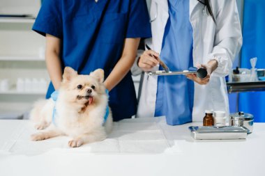 İki doktorun orta bölümü, tüylü bir köpekle profesyonel veteriner bakımı ve hayvan muayenesi yapıyor. Tıbbi uzmanlık, hayvan sağlığı ve şefkatli hayvan bakımı gösteriliyor.