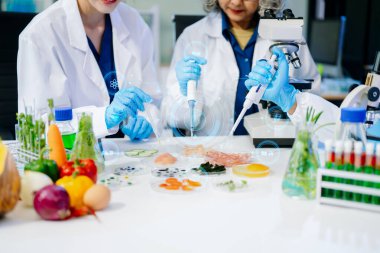 Laboratuvar önlüklü gıda bilimcileri, numuneleri test ediyor ve modern bir laboratuvar ortamında gıda güvenliği ve kalitesini analiz ediyorlar..