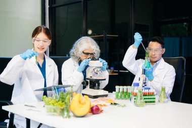 Laboratuvar önlüklü gıda bilimcileri, numuneleri test ediyor ve modern bir laboratuvar ortamında gıda güvenliği ve kalitesini analiz ediyorlar..